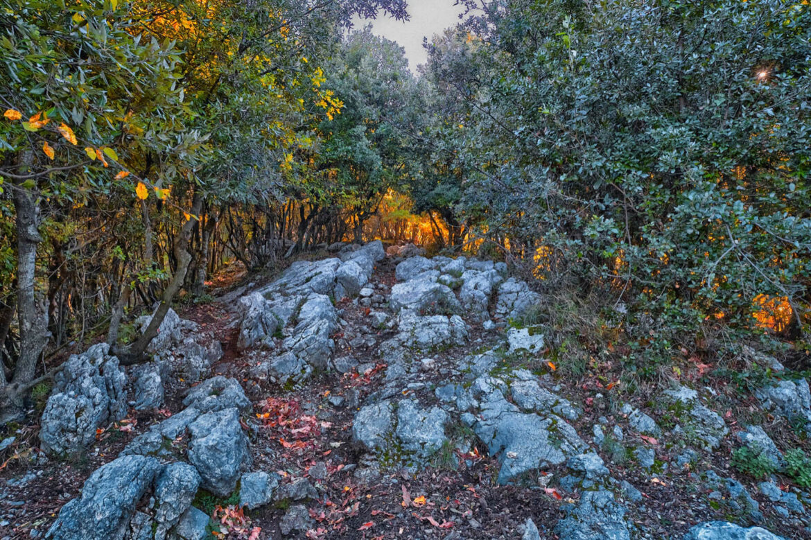 Escursioni e Trekking